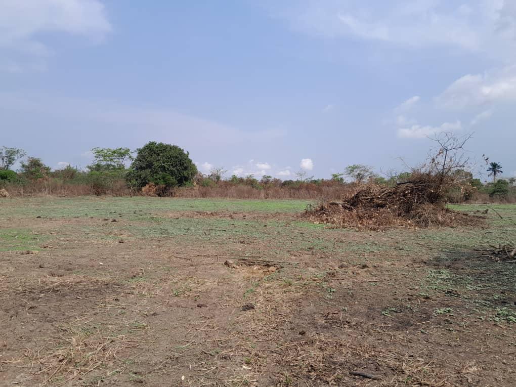 Sunflower Park Estate Phase 1 site progress